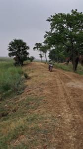 Commercial Plot