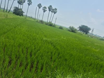 Commercial Plot