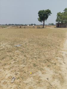 Commercial Plot
