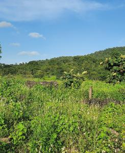 Others image of 217800.0 Sq.ft   Commercial Plot for sale in Naigaon East for 440000000