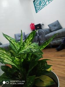 Others image of 411.0 Sq.ft pre-leased Ready to use Office Space for sale in Viman Nagar for 8000000