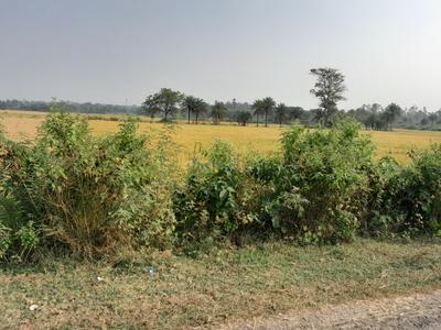 Others image of 300000.0 Sq.ft   Commercial Plot for sale in Bishnupur for 62500000