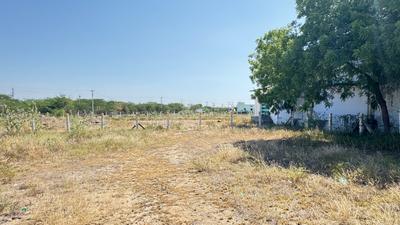 Commercial Plot