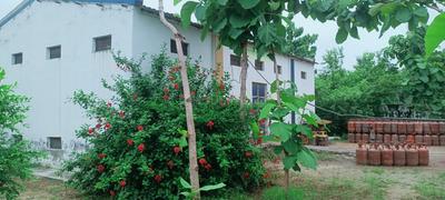 Others image of 9570.0 Sq.ft   Commercial Property for rent in Jhanjhari Block for 75000