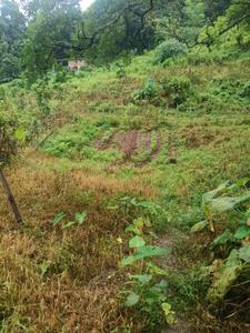 Commercial Plot