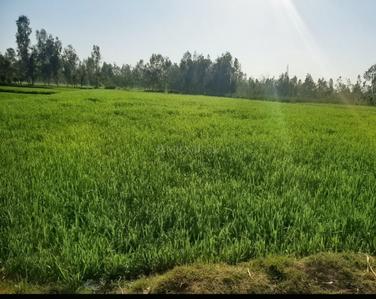 Commercial Plot