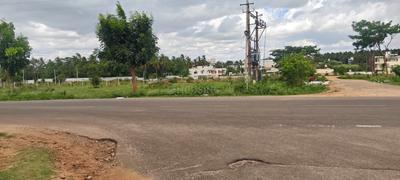 Commercial Plot