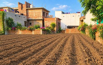 Commercial Plot