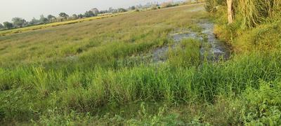 Others image of 1500.0 Sq.ft   Commercial Plot for sale in Surendra Nagar for 24000000