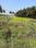 Others image of 47000.0 Sq.ft   Commercial Plot for rent in Malur for 150000