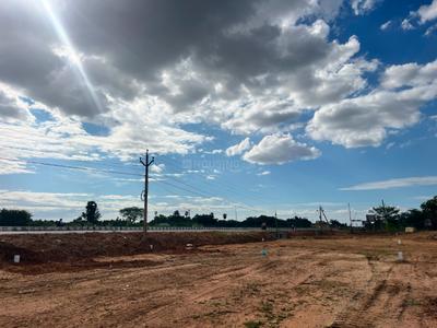 Commercial Plot