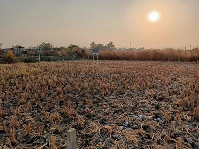 Others image of 10000.0 Sq.ft   Commercial Plot for sale in Belondakhar for 3990000