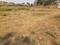 Others image of 20000.0 Sq.ft   Commercial Plot for sale in Virar East for 50000000