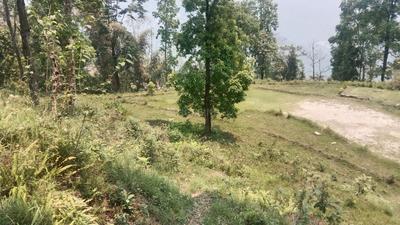 Commercial Plot