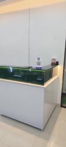 Others image of 800.0 Sq.ft   Showroom for rent in Sector 29 for 30000