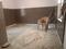 Others image of 450.0 Sq.ft   Commercial Property for sale in Garfa for 4300000