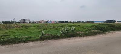 Commercial Plot