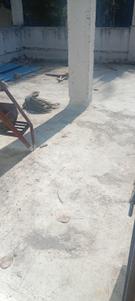 Others image of 2200.0 Sq.ft  Ready to use Office Space for rent in Dapodi for 100000