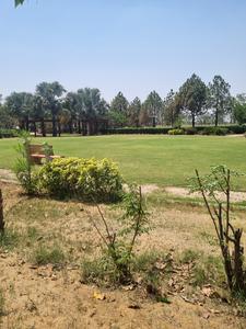 Outside View image of 100.0 Sq.ft Shop for rent in Tapukara for 5000
