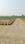 Others image of 1360.0 Sq.ft   Commercial Plot for sale in Godhana for 1300000