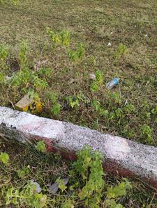 Others image of 1200.0 Sq.ft   Commercial Plot for sale in Vandavasi for 600000