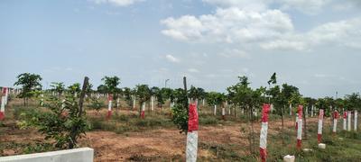 Others image of 2400.0 Sq.ft   Commercial Plot for sale in Vengal for 1920000