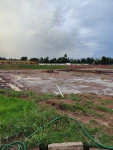 Commercial Plot