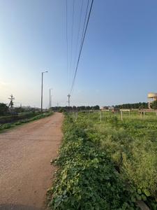 Commercial Plot