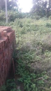 Commercial Plot