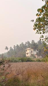 Others image of 15246.0 Sq.ft   Commercial Plot for sale in Revdanda for 7000000