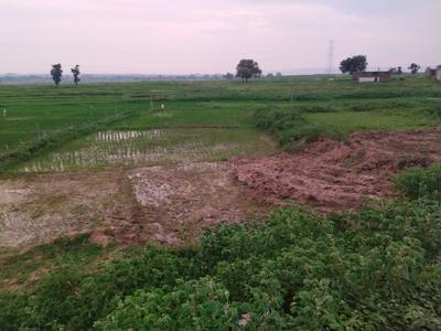 Commercial Plot