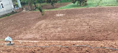 Commercial Plot