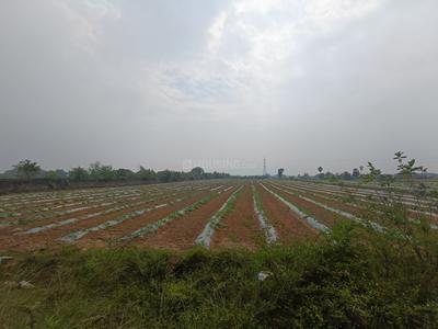 Others image of 218700.0 Sq.ft   Commercial Property for sale in Ennaikaran for 55000000