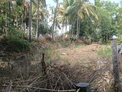 Commercial Plot