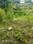 Others image of 8432.0 Sq.ft   Commercial Plot for sale in New Kangra for 13000000