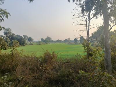 Others image of 261360.0 Sq.ft pre-leased  Commercial Plot for sale in Parwaliya Sadak for 258000000