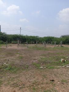 Commercial Plot
