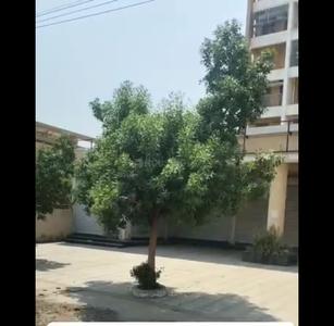 Others image of 100.0 Sq.ft   Shop for sale in Shankarpur for 4000000