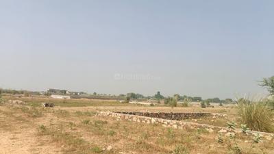 Commercial Plot