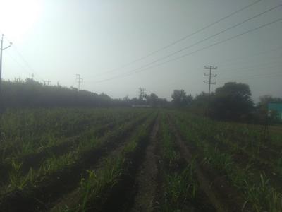 Others image of 40000.0 Sq.ft   Commercial Plot for rent in Karad for 80000