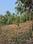 Others image of 8708.0 Sq.ft   Commercial Plot for sale in Elamaram for 11000000