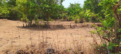 Others image of 55386.0 Sq.ft   Commercial Plot for sale in Rohidas Nagar for 3500000