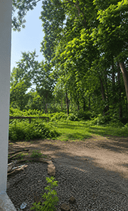 Commercial Plot