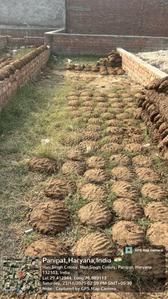 Others image of 450.0 Sq.ft   Commercial Plot for sale in Bhagat Nagar for 5100000