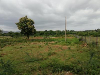 Commercial Plot