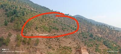 Others image of 5000.0 Sq.ft   Commercial Plot for sale in Gangyal Industrial Area for 2000000