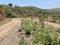 Others image of 20000.0 Sq.ft   Commercial Plot for rent in Bavdhan for 400000