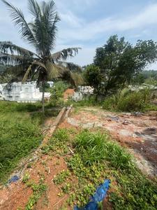 Commercial Plot