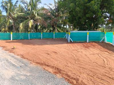 Commercial Plot