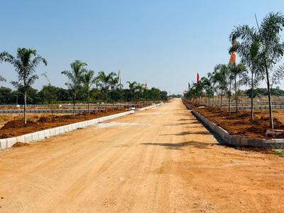 Commercial Plot